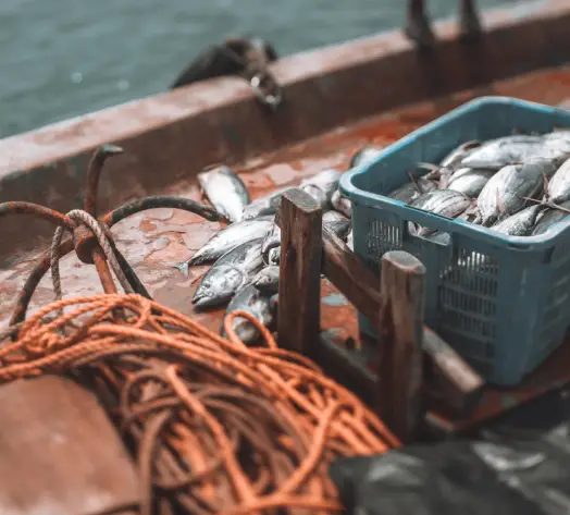 Protect your gear and vessel. Boat and fishing gear insurance