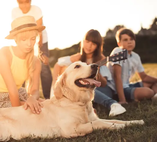 Oklahoma Insurance Connection About Us Family & Business Insurance Oklahoma